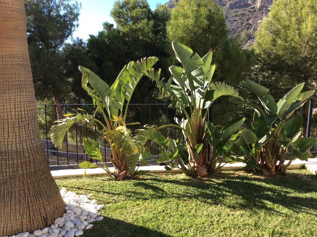 Olivos Holiday Home Altea Kamer foto